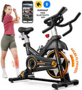 LNOW Commercial Built - in Bluetooth Fan Exercise Bike, Adjustable Air Resistance with Dual - Action Handlebars, Heavy Duty Indoor Cycling Bike for Home Gym Traininning, 350 lb Arm/Leg Cardio Workout