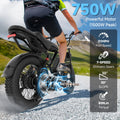 AOVOPRO AP20 Electric Bike for Adults 20 X 4.0 Fat Tire, 750W Off - Road E Bike, E - Mountain Bike 48V 15.6AH UL2849